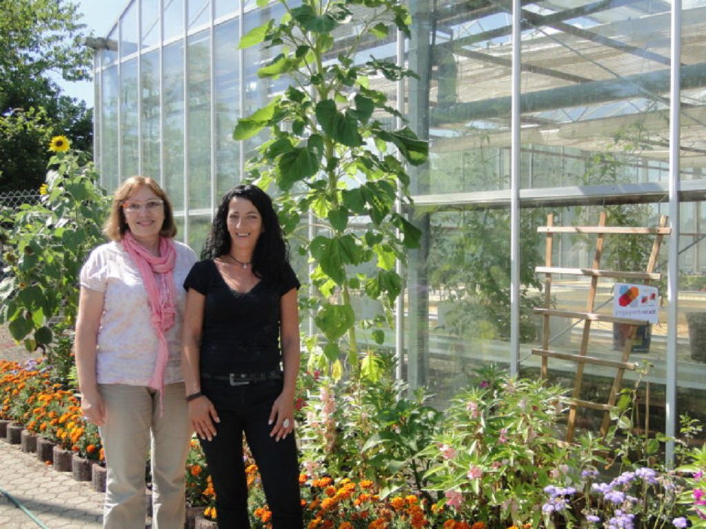 Projekt Essbare Gärten - Gewächshaus "Alte Kaserne" & Gartenfläche "Am